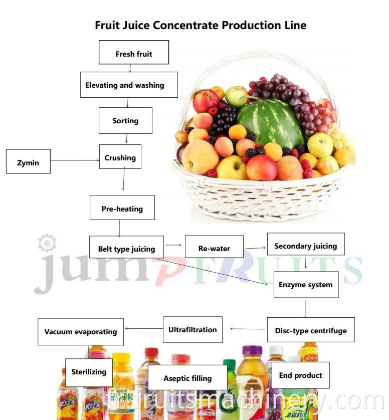 Fruit juice concentrate Prodcution line